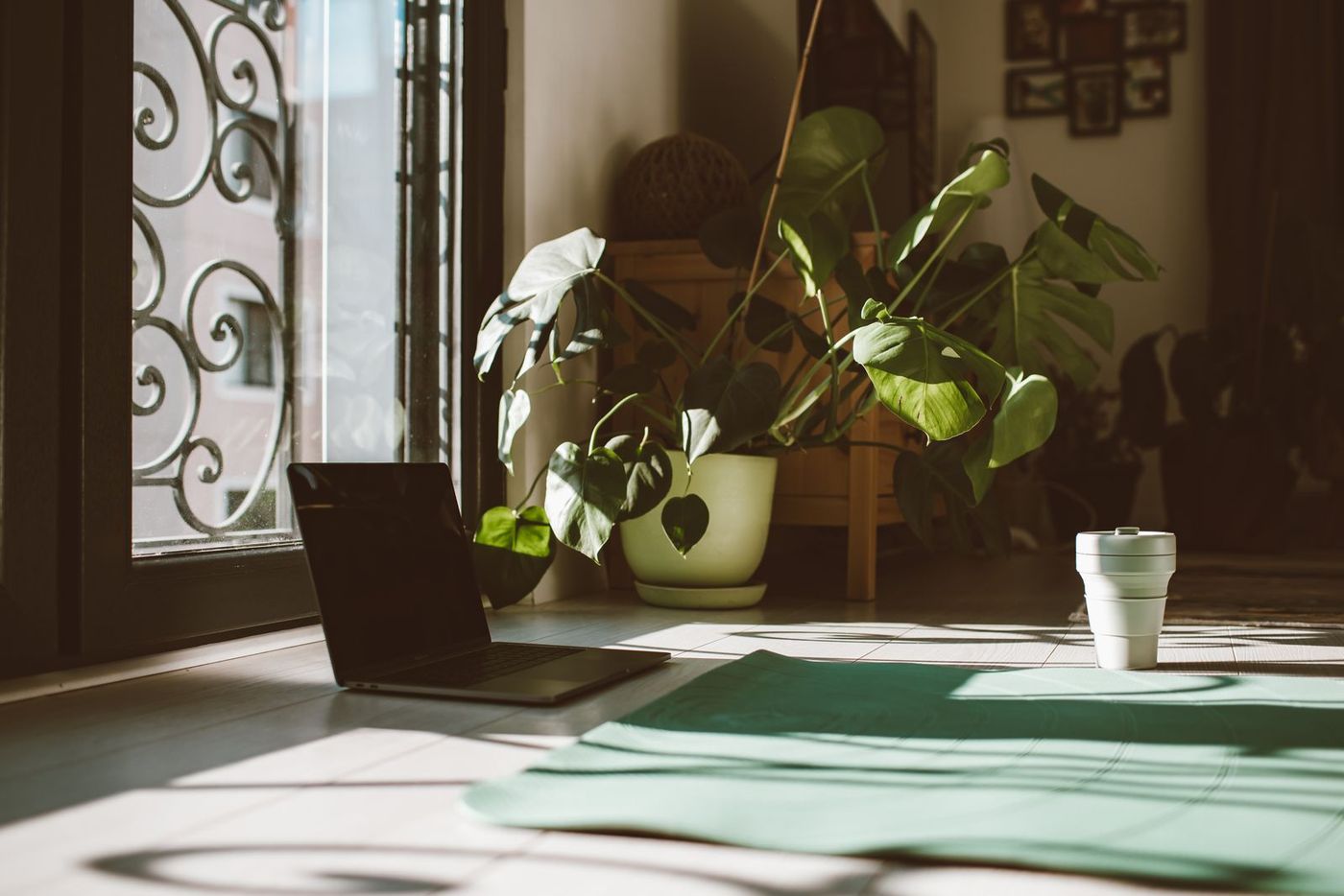 A yoga mat in warm window light beside a plant